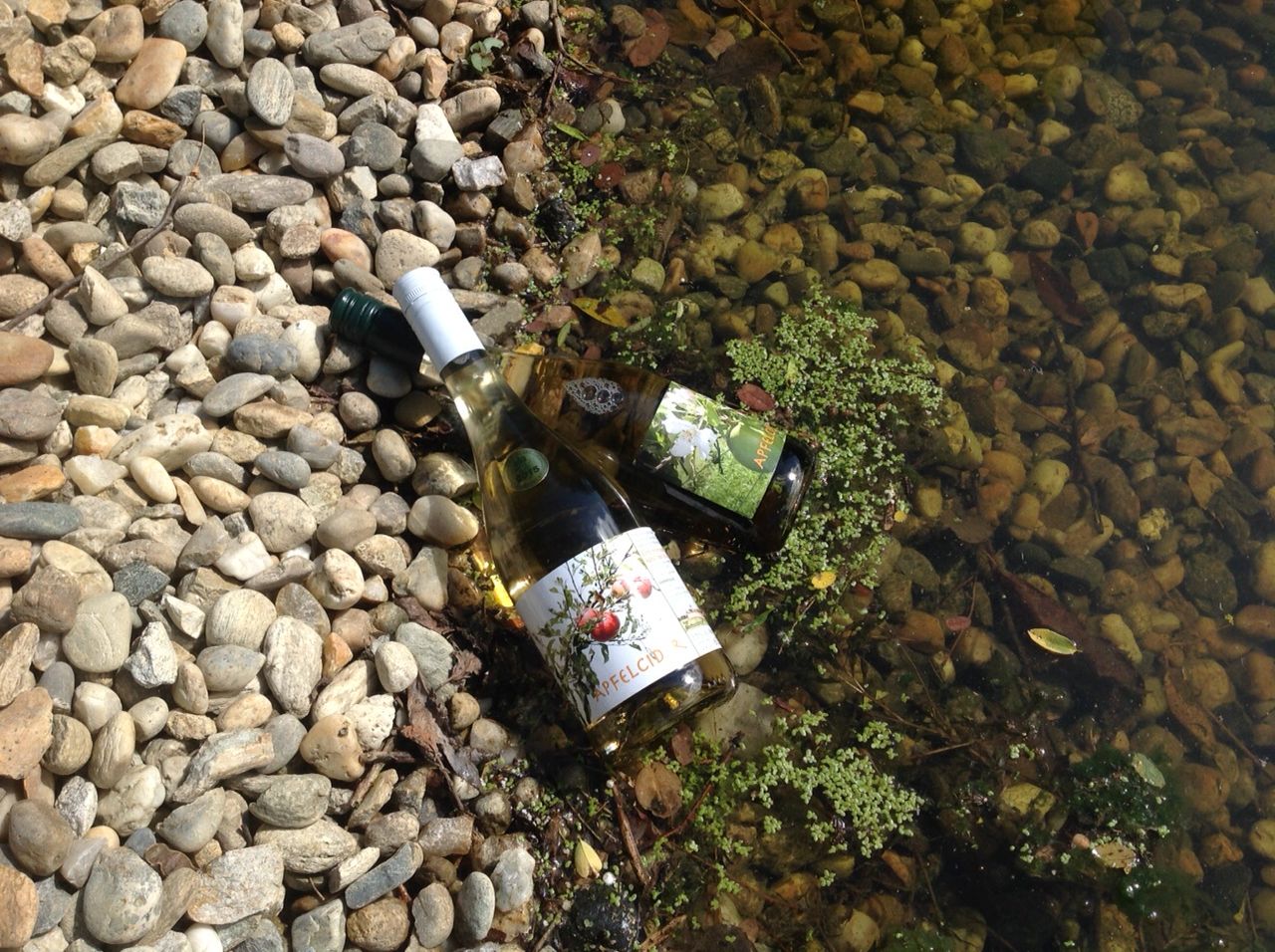 ... kühler BIO-Apfelcider