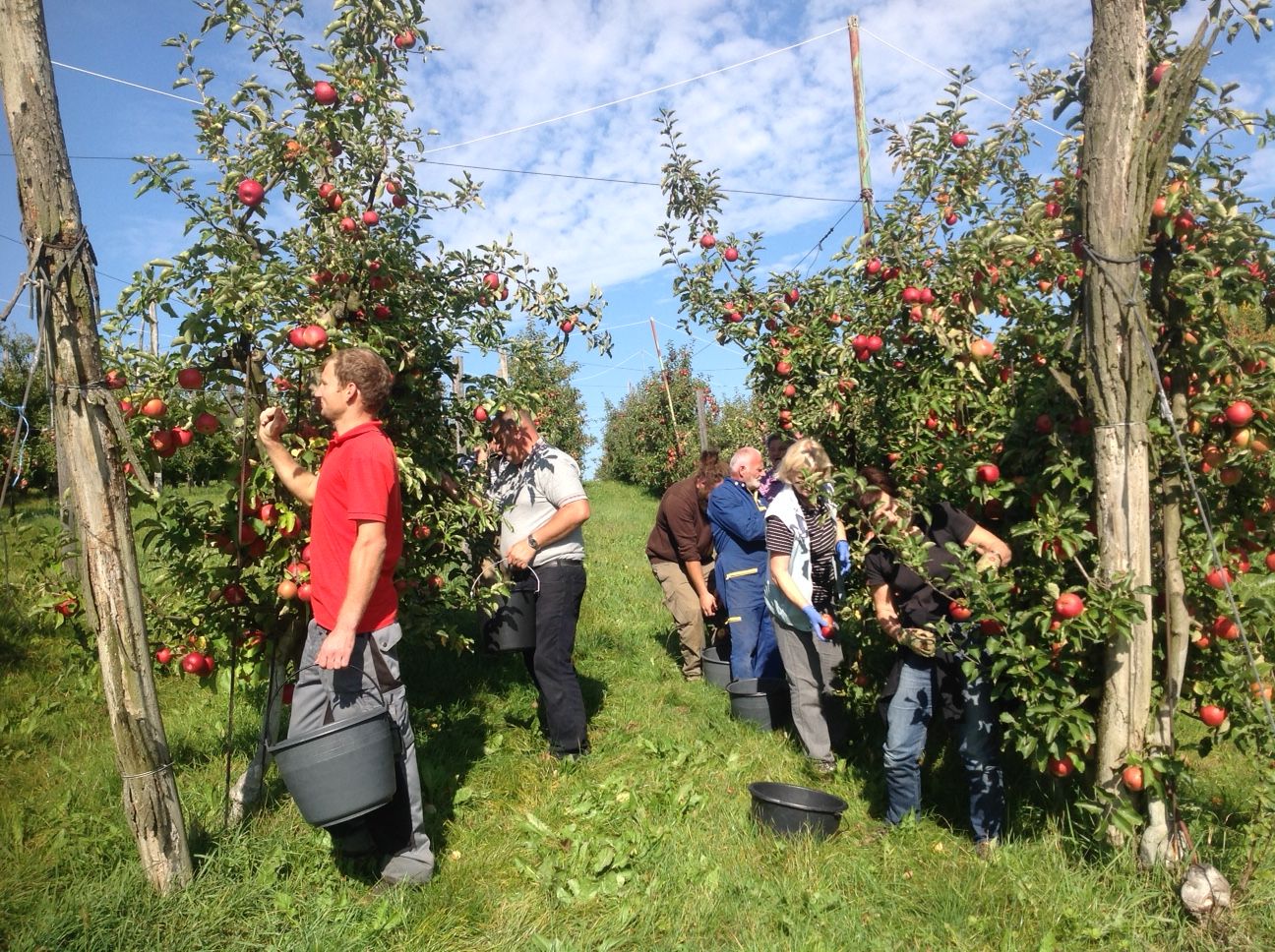 Ohne Fleiß kein ... Apfel